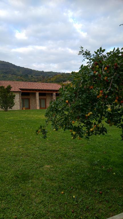 Alloggio Franciscus Arquà Petrarca Eksteriør billede